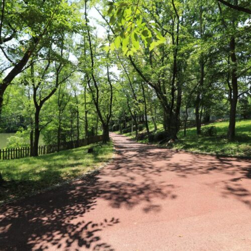 晴美公園
